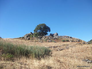 ano Margi-27-08-2014 09-12-31